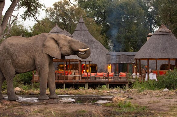 Hoyo Hoyo Safari Lodge